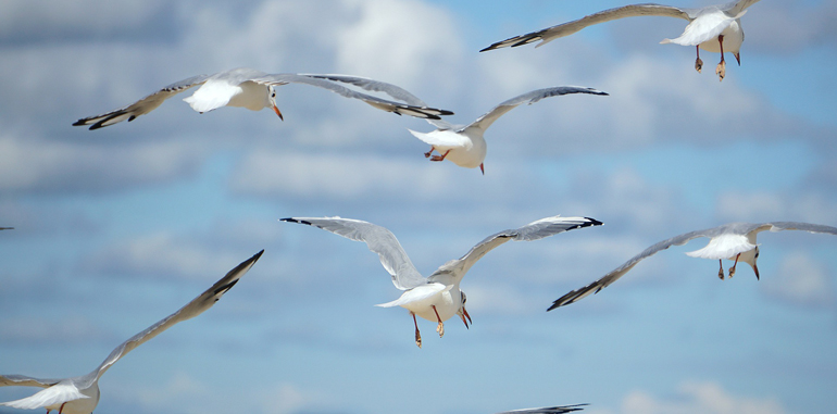 メール一斉配信サービス